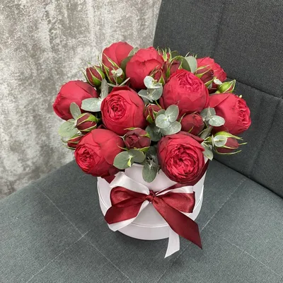 Роза 'Пиано' (чайно-гибридная) (ярко - красная) купить по цене 1.350,00  руб. руб. в Москве в садовом центре Южный