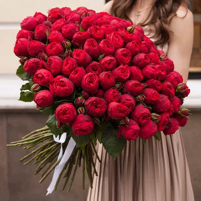 Роза кустовая Пиано Ред (Piano Red)