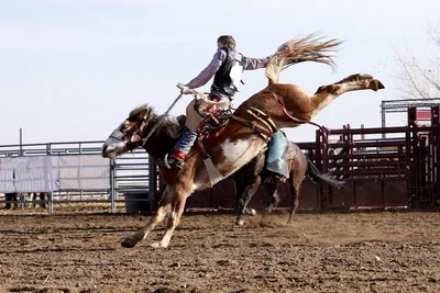 Easter Rodeo Tee (Rose Pink) – theFRINGEDpineapple