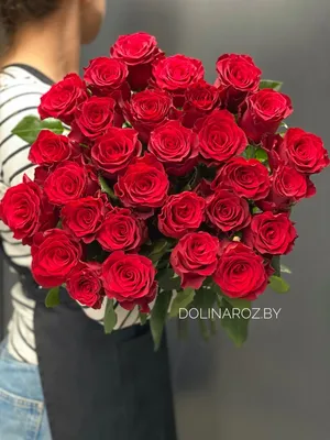 Купить красные Голландские розы в Минске - цена и фото