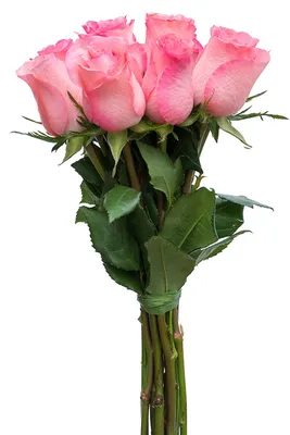 Buy Rossini Rose Bouquets for Wedding Arrangements Wholesale @ Flower  Explosion