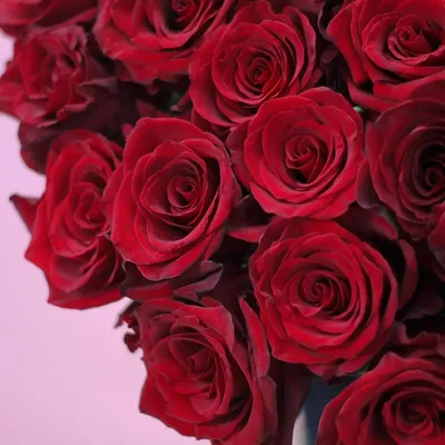 Купить Букет из розы Ред Наоми с доставкой Розбери