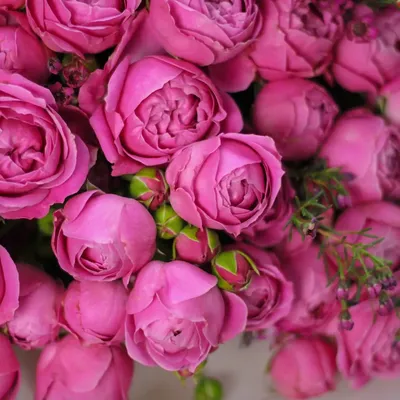 Букет цветов Розбери 💐 заказать в Москве с доставкой по цене 5 190 ₽ |  Флористическое кафе VioletFlowers 🌷