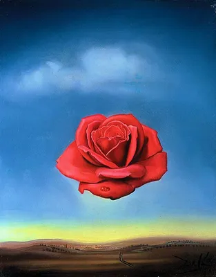 Avant Arte on Instagram: “The Meditative Rose by Salvador Dali  #salvadordali” | Salvador dalí, Obra de salvador dalí, Pinturas