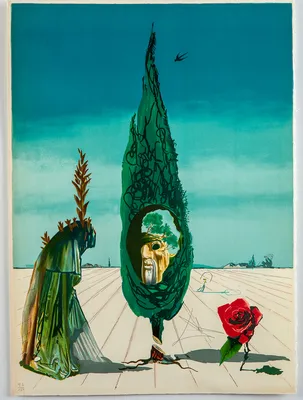 The Meditative Rose-Salvador Dali\" Art Board Print for Sale by magicmagnet  | Redbubble