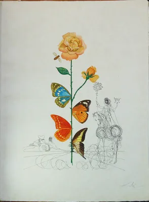 Framed Enamel \"Meditative Rose\", 1958 | 252400300 | Salvador Dalí | Shop  online Dalí | Surrealismstore