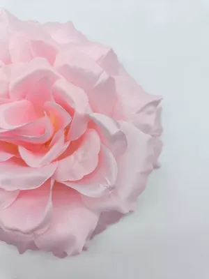 Ткань Сатин набивной Роза белая 3D, Турция, ширина 240 см купить с  доставкой по Украине в интернет-магазине тканей So-Good