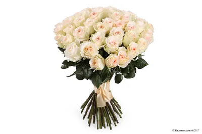 Букет 31 роза Сеньорита купить в Москве. Сайт floral-tale