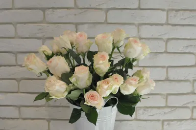 Мосцветторг - Букет 31 роза Сеньорита