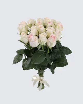 Букет из 51 розы \"Сеньорита\" – купить недорого с доставкой по Москве