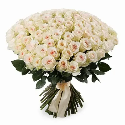 Букет из 51 розы «Сеньорита» с бесплатной доставкой по Москве, цена 560490  руб. ❁ ArenaFlowers