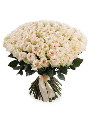 Букет из 25 нежной белой розы Senorita ~ Доставка цветов в Ижевске