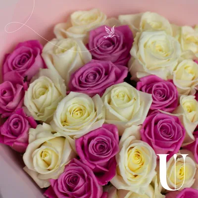 Купить букет 21 роза сеньорита с доставкой по Москве | zhflowers.ru