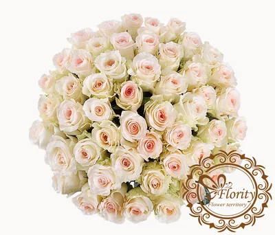 Букет из 101 розы «Сеньорита» с бесплатной доставкой по Москве, цена  1706900 руб. ❁ ArenaFlowers