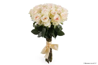 Розовые розы Сеньорита заказать с доставкой, цена в Боброво 4604 руб.