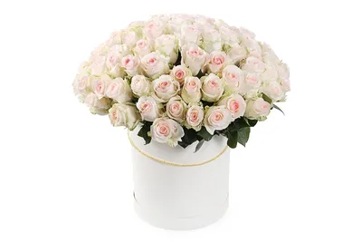 Букет из 51 нежной белой розы Senorita ~ Доставка цветов в Ижевске