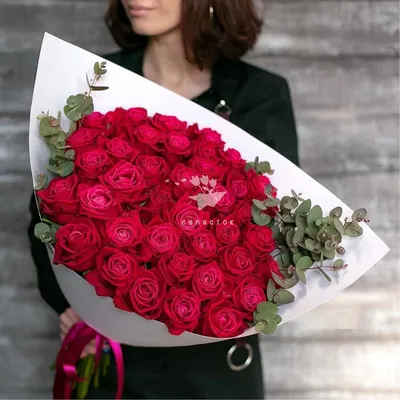 Роза Шангри ЛА — купить в интернет-магазине по низкой цене на Яндекс Маркете