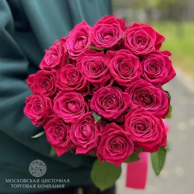 Роза розовая Шангри-ла купить в Краснодаре с доставкой