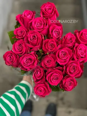 Букет 17 роз Шангри-ла купить за 3890 руб. с круглосуточной доставкой |  Мосцветторгком