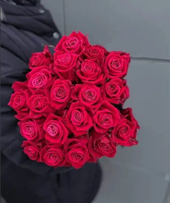 Купить Роза Шангри-Ла с доставкой в Курске, каталог Розы поштучно -  «MarnaFlowers».