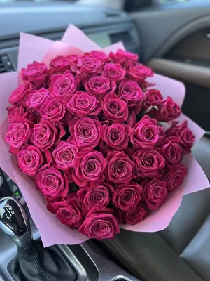51 роза шангрила, артикул F1192990 - 5990 рублей, доставка по городу.  Flawery - доставка цветов в Самаре