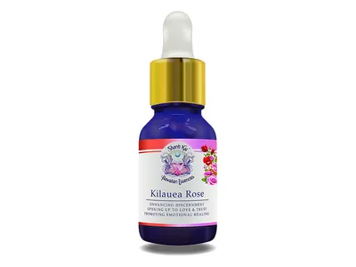 Rose Essential Oil - Pure Rosa damascena or Rose 10% in Organic Jojoba —  Shanti Aromatherapy