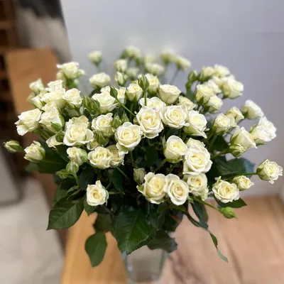 Роза белая спрей Сноуфлейк букет 20 шт 40 см - Роза 21
