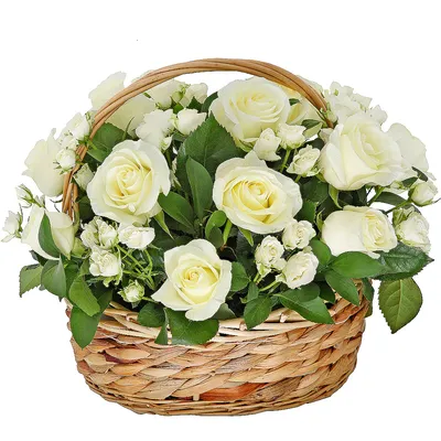 Купить розы Сноуфлейк оптом к 8 Марта в Москве