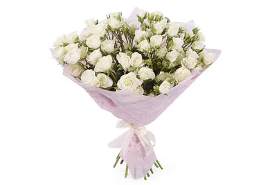Букет из 29 белых кустовых роз Сноуфлейк (02121) купить с доставкой в  Архангельске