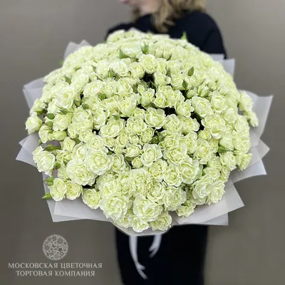 Букет из 27 белых кустовых роз Сноуфлейк (02122) купить с доставкой в  Архангельске
