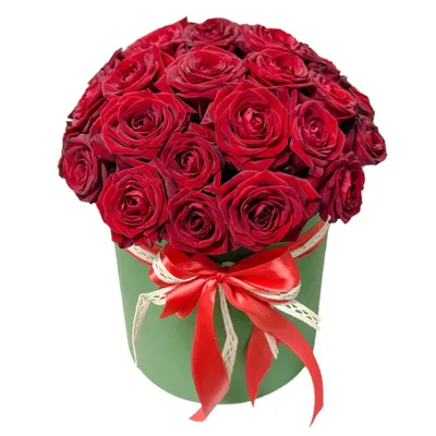 Саженцы розы Софи Лорен купить в Москве по цене от 630 до 1125 руб. -  питомник растений Элитный Сад