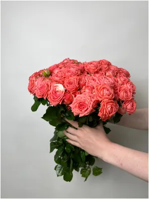 Купить «Кустовая роза «Барбадос» (Barbados)» с доставкой в Воронеже - «Pink  flowel»