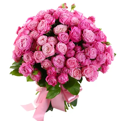 25 кремовых кустовых роз \"Яна\" купить в Москве в Букет-Элит