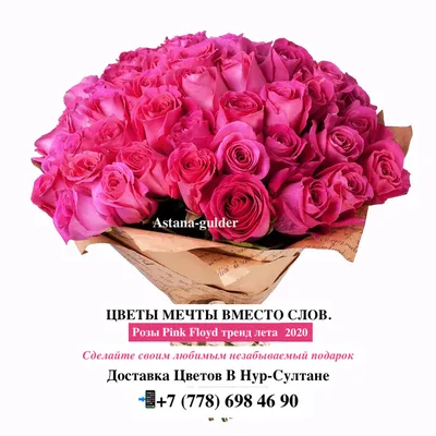 Photo of the bloom of Rose (Rosa 'Tipu Sultan') posted by kbw664 -  Garden.org