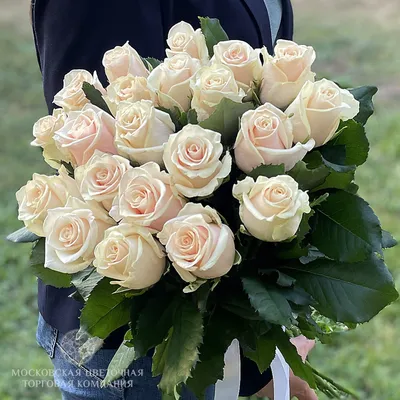 Букет 21 роза Талея купить за 5090 руб. с круглосуточной доставкой |  Мосцветторгком