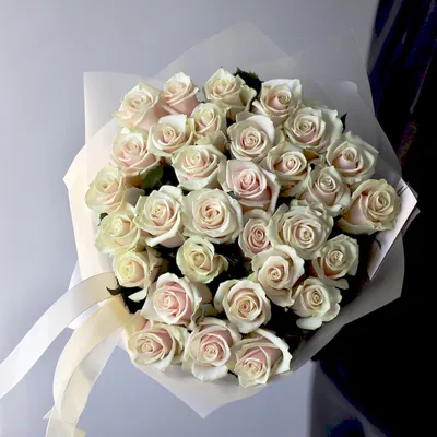 Роза Талея, 70 см - заказать и купить цветы с доставкой | Donpion
