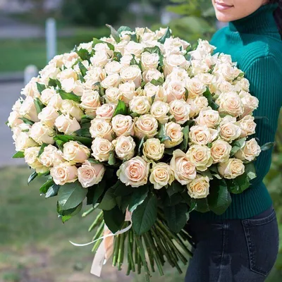 Роза белая Талея заказать с доставкой в Харькове и по низким ценам | FLORITY