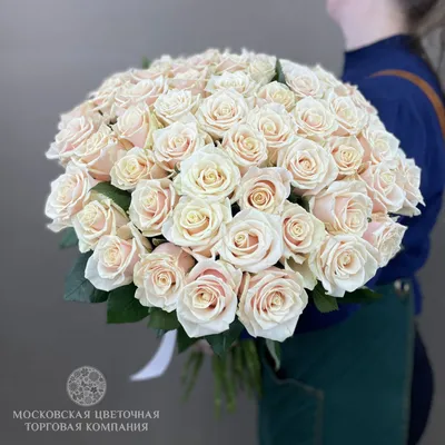 Букет 101 роза Талея купить с доставкой по Днепру в интернет-магазине  «Royal-Flowers»