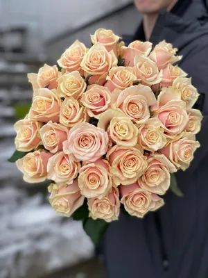 Талея роза - описание сорта, рекоменадии по выращиванию, отзывы | РозоЦвет