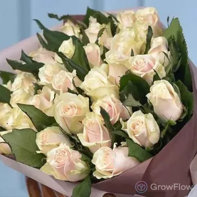 Роза \"Талея\" - цена, купить цветы упаковками с доставкой в Москве - магазин  ПРОСТОЦВЕТЫ
