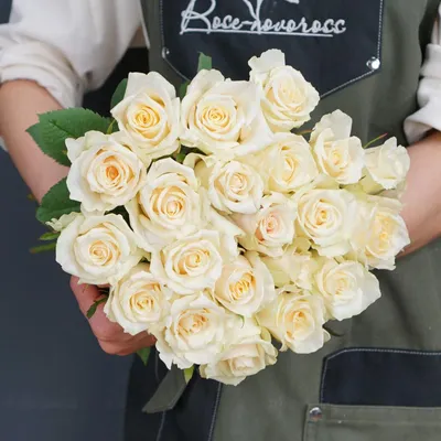 Кремовая роза талея 25 шт купить в Зеленограде по цене 4221₽ | Арт. 104-799