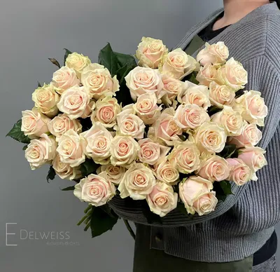 А) 21 Роза \"Талея\" 40 см и скидки в интернет магазине цветов Роз Новоросс