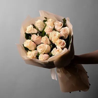 101 кремовая роза «Талея» 50 см - Купить розы с доставкой