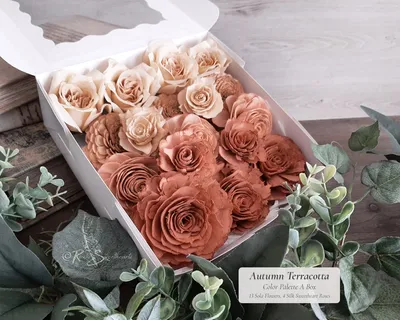 Terracotta Rose - Etsy