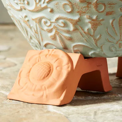 Rosa Terracotta - Flora 2000 — Vivaio Online Bologna