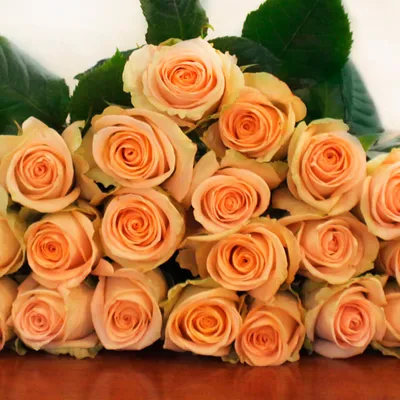 Тиффани розы в коробке от 9 шт. за 4 790 руб. | Бесплатная доставка цветов  по Москве