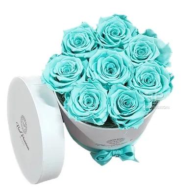 Buy Wholesale Preserved Tiffany Rose in Bulk - FiftyFlowers