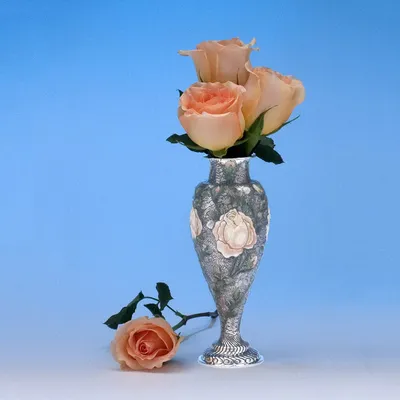 Petit Rose - Black Box | Dear Fleurs