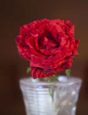 Брошь цветок из ткани ручной работы цвет красный Тигровая роза-купить-в  интернет-магазине annarose.com.ua