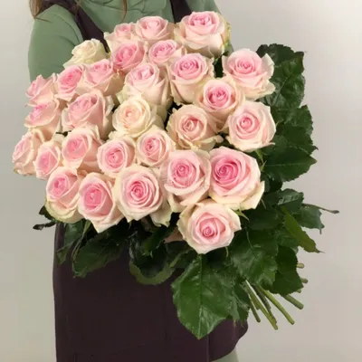 Роза сорта «Свит Ревиваль» (Sweet Revival) - 150 руб, купить в Воронеже в  магазине «Цветы Экспресс»